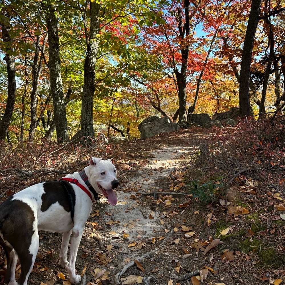 Meet your Posher, Brianna